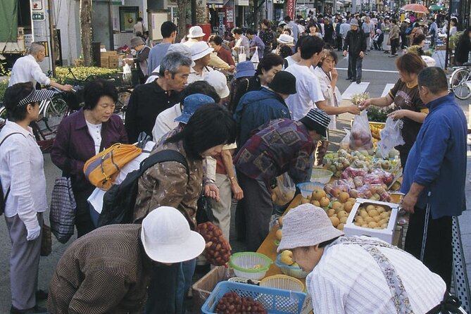 Morioka Half-Day Private Tour With Government-Licensed Guide - Price and Booking