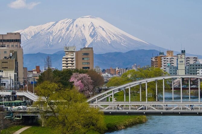 Morioka Full-Day Private Tour With Government-Licensed Guide - Cancellation Policy