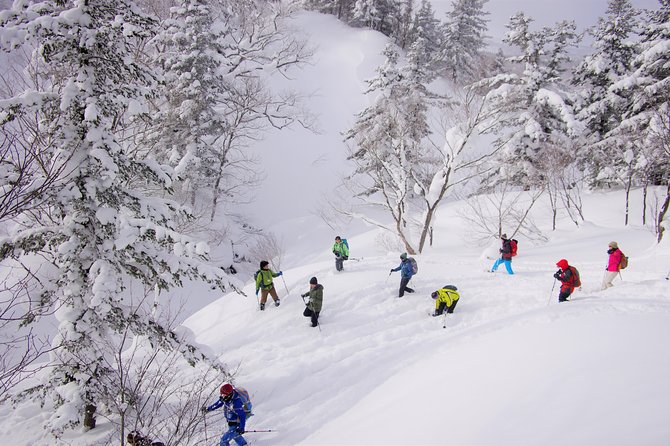 Fluffy New Snow and the Earth Beating, Goshougake Oyunuma Snowshoeing Tour - Conclusion