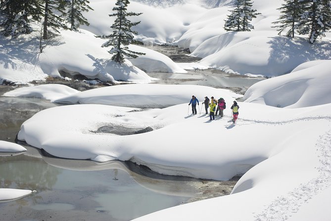 Fluffy New Snow and the Earth Beating, Goshougake Oyunuma Snowshoeing Tour - Booking and Reservation