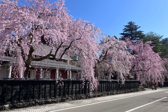 Rental Bicycle With Electric Assist / Satoyama Cycling Tour - Inclusions and Meeting Point