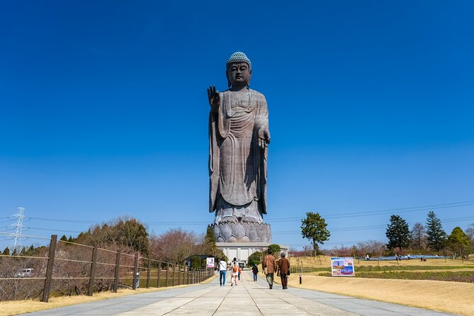 The Tallest Great Buddha Spot Walking Tour - Tour Inclusions