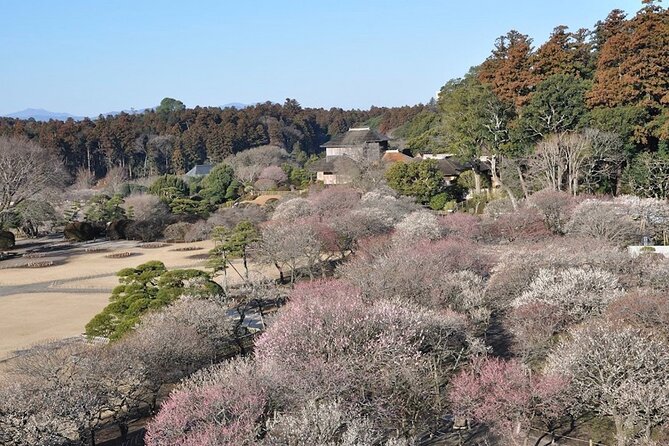 Samurai Private Tour With Lantern Making in Mito - Lantern Making Workshop