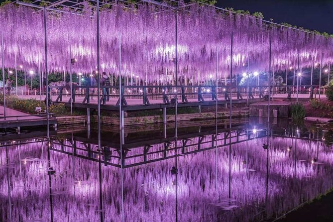 Entry Ticket to Ashikaga Flower Park in Japan - Key Takeaways