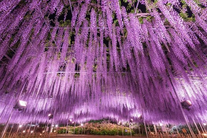 Entry Ticket to Ashikaga Flower Park in Japan - Meeting and Pickup Information