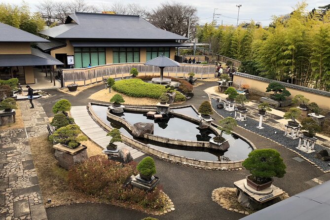 Omiya Bonsai Private Tour - Key Takeaways