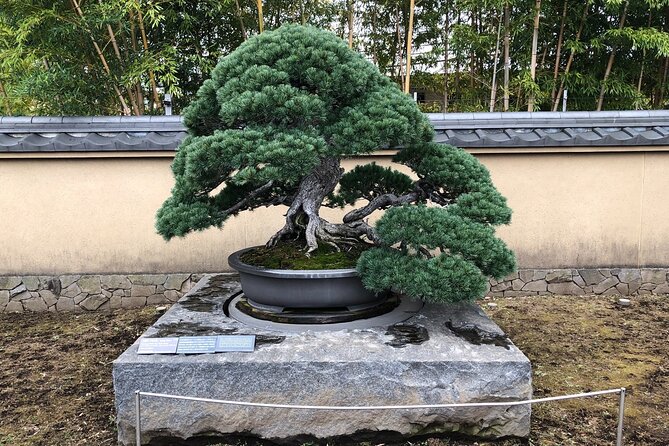 Omiya Bonsai Private Tour - Conclusion