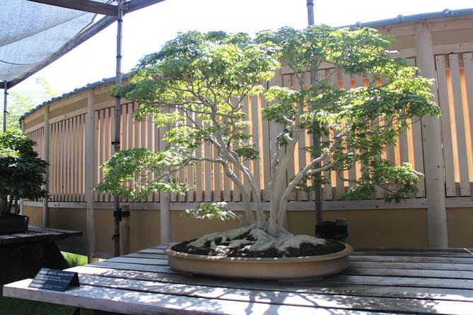 Bonsai Museum & Bonsai Experience - Directions