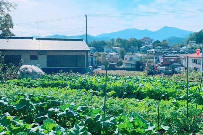 Near Tokyo: Organic Farming Experience With Forest Hiking - Key Takeaways