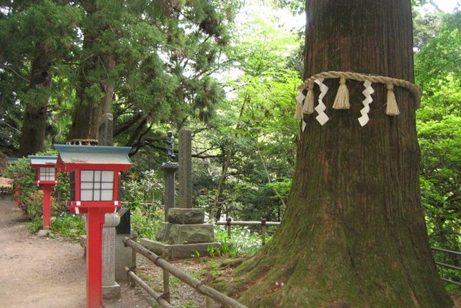 Nature Tour at Mt. Takao - Tour Schedule