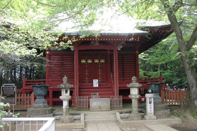 Nature Tour at Mt. Takao - Accessibility Information