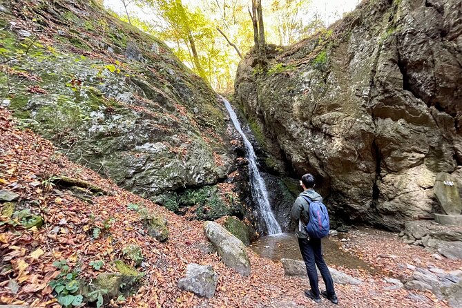 Full Day Guided Hiking Tour in Mt. Mitake - What To Expect