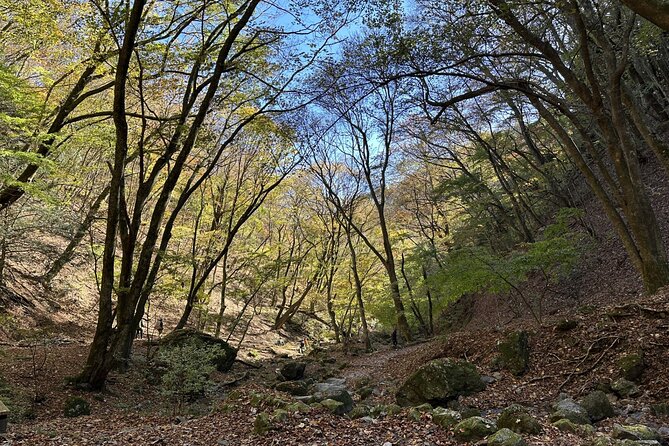 Full Day Guided Hiking Tour in Mt. Mitake - Safety Precautions