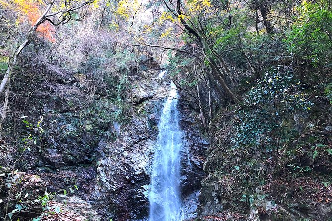 One Day Tour of Tokyos Plentiful Nature in Hinohara Village - Inclusions and Exclusions