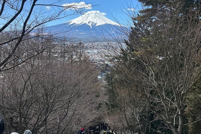 Mount Fuji and Surroundings Full Day Private Tour - Frequently Asked Questions