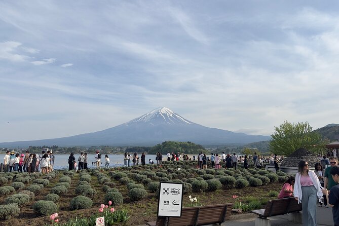 Mount Fuji and Surroundings Full Day Private Tour - Conclusion