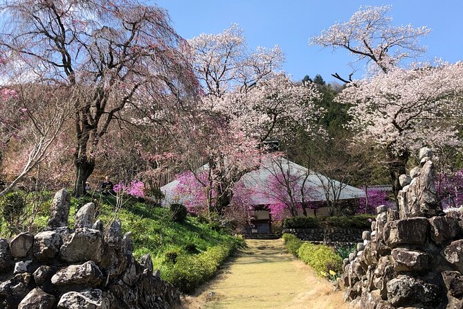 Little Adventure With Cycling in Tokyo No. 1 Crystal Clear River - End Point and Additional Info