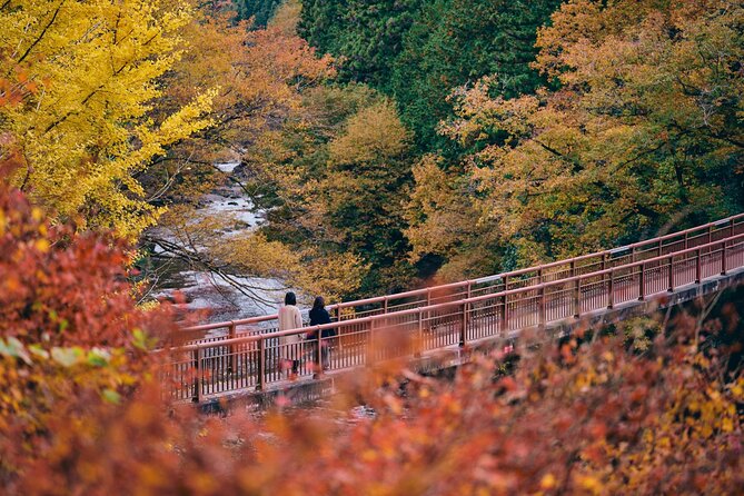 Little Adventure With Cycling in Tokyo No. 1 Crystal Clear River - Price and Availability