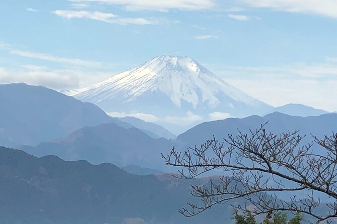 Mt. Takao Hiking Tour With Licensed Guide - Key Takeaways