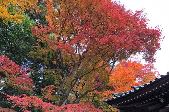 Mt. Takao Hiking Tour With Licensed Guide - Important Additional Information