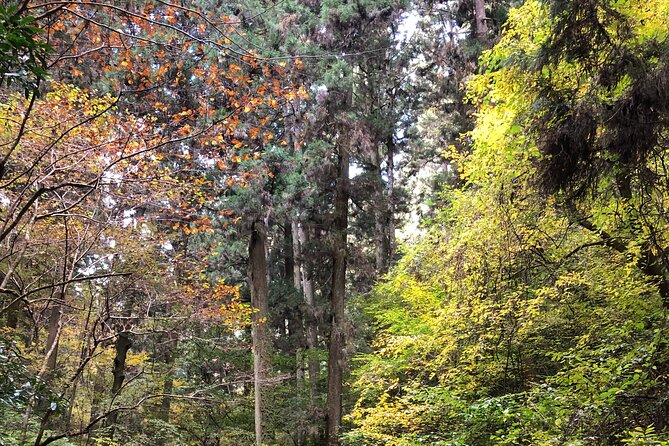 Mt. Takao Hiking Tour With Licensed Guide - Convenient Payment Options