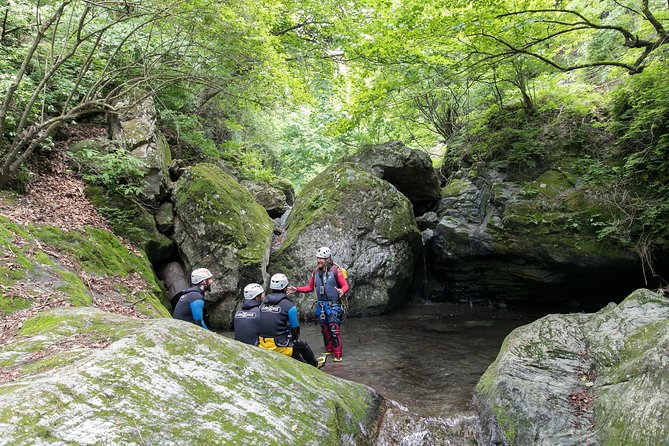 Tokyo Half-Day Canyoning Adventure - Price