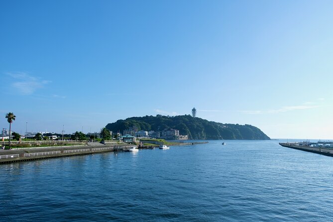 Private Tour in Slam Dunk Locations and Kamakura Sights - Frequently Asked Questions