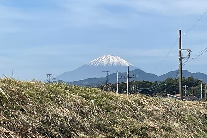 Soba Making Activity in Paddy Field Scenery of Kanagawa - Sample Menu and Toppings