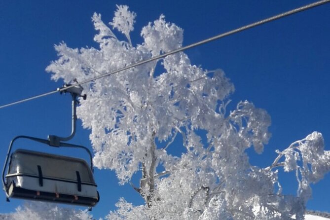 Full Day Ski Lesson (6 Hours) in Yuzawa, Japan - Conclusion