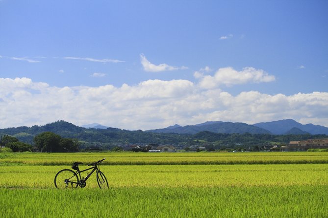 Walking & Cycling - Popular Walking Trails