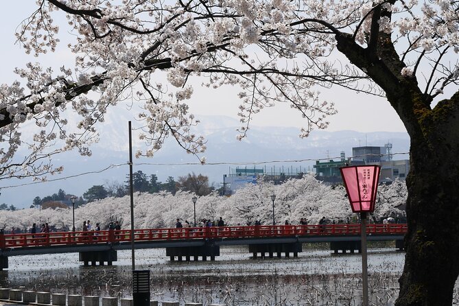 Sakura Park and Old Town Private Tour - Tour Duration & Availability