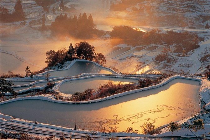 Niigata Full-Day Private Tour With Government-Licensed Guide - Price and Booking