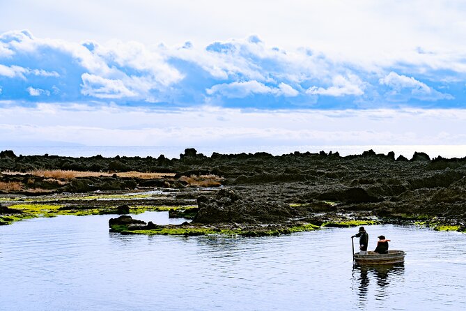 Sado Island Tour With Licensed Guide and Vehicle (Niigata Dep.) - Private Transportation Benefits