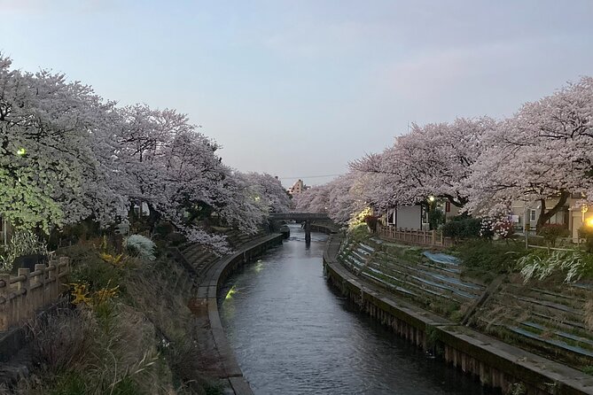 Private Kimono Stroll in Toyama City Possibly With a Shiba Inu - Conclusion