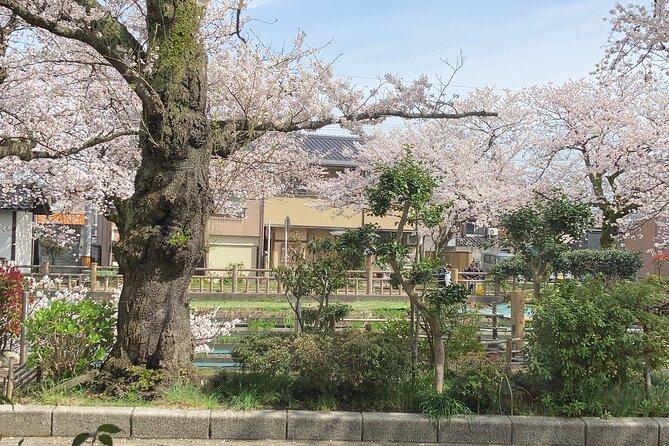 Private Kimono Stroll in Toyama City Possibly With a Shiba Inu - Frequently Asked Questions