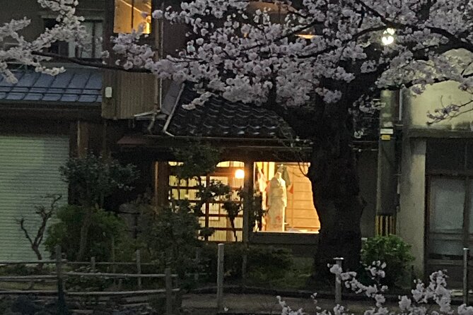 Private Kimono Stroll in Toyama City Possibly With a Shiba Inu - Cancellation Policy and Changes