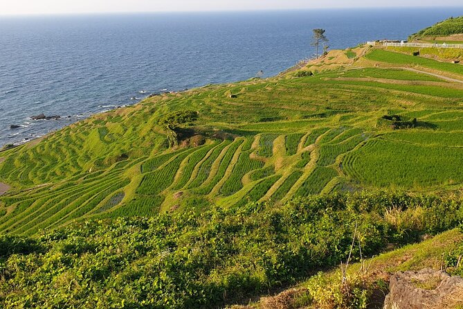 Full-Day Bicycle Tour on the Noto Peninsula - Meeting and Pickup Options