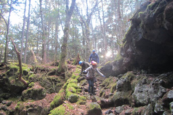 Exploring Mt Fuji Ice Cave and Sea of Trees Forest - Guide Toshi