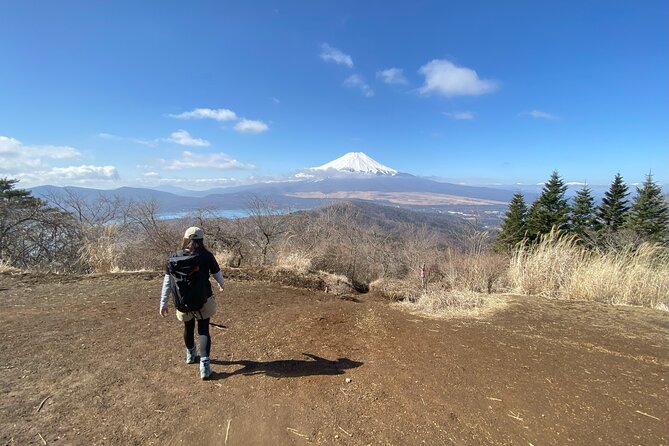 Private Hiking Tour to View Mt. Fuji - Key Takeaways