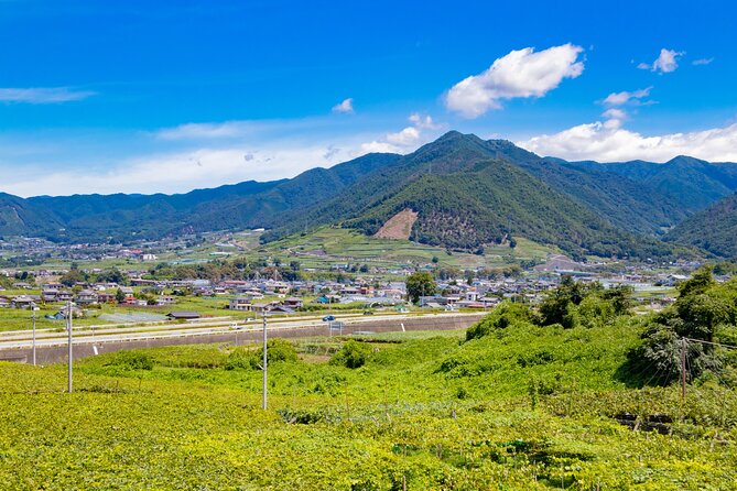 Yamanashi Koshu Winery Private Tour With Licensed Guide & Vehicle - Pricing Details