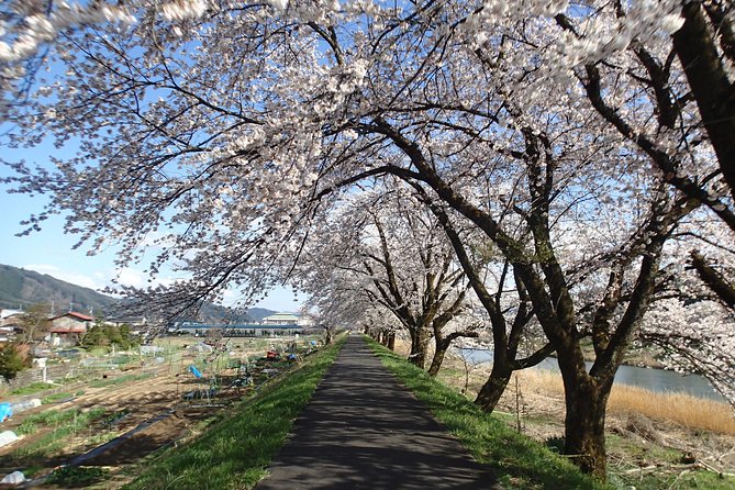 Short Morning Cycling Tour in Hida - Booking Information