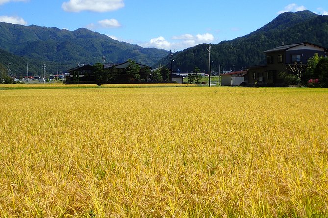 Private-group Morning Cycling Tour in Hida-Furukawa - Tour Logistics