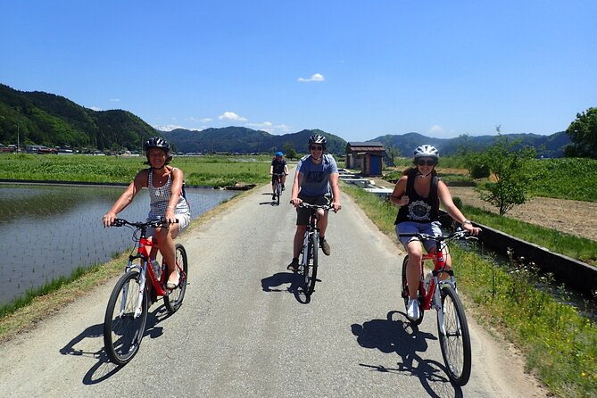 Private 2.5h Bike Tour in Hida - Pricing Information