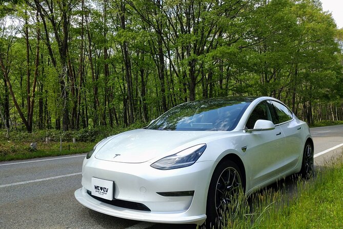 Go Anywhere With a Tesla Rental Car (Free Plan) - Meeting Point Details