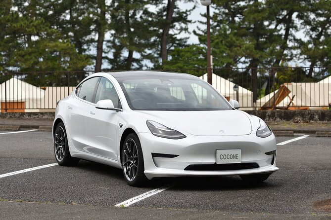 Go Anywhere With a Tesla Rental Car (Free Plan) - Booking Information