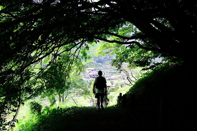 Nakasendo Self-Guided Walking Tour 2 Days - Pricing and Reviews