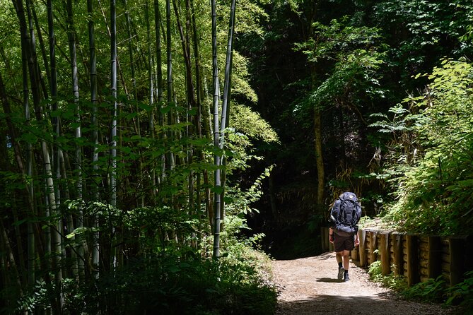 Magome & Tsumago Nakasendo Trail Day Hike With Government-Licensed Guide - Meeting Points and Logistics