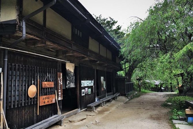 Magome & Tsumago Nakasendo Trail Day Hike With Government-Licensed Guide - Health and Accessibility Considerations