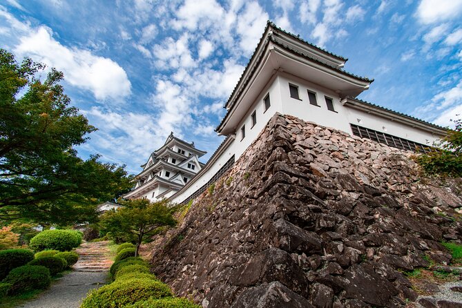 Gujo Hachiman All Must-Sees Half Day Private Tour With Government-Licensed Guide - Key Takeaways