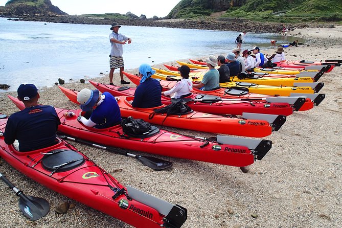 First Seakayak Tour - Conclusion